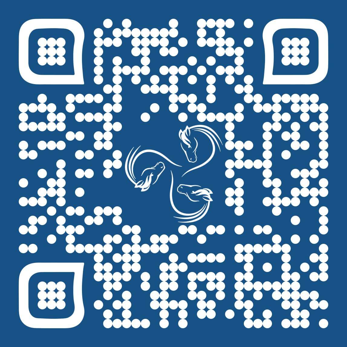SEO-Agentur Lübeck Northbay Digital & Design Mockup-horsemanway QR-Code