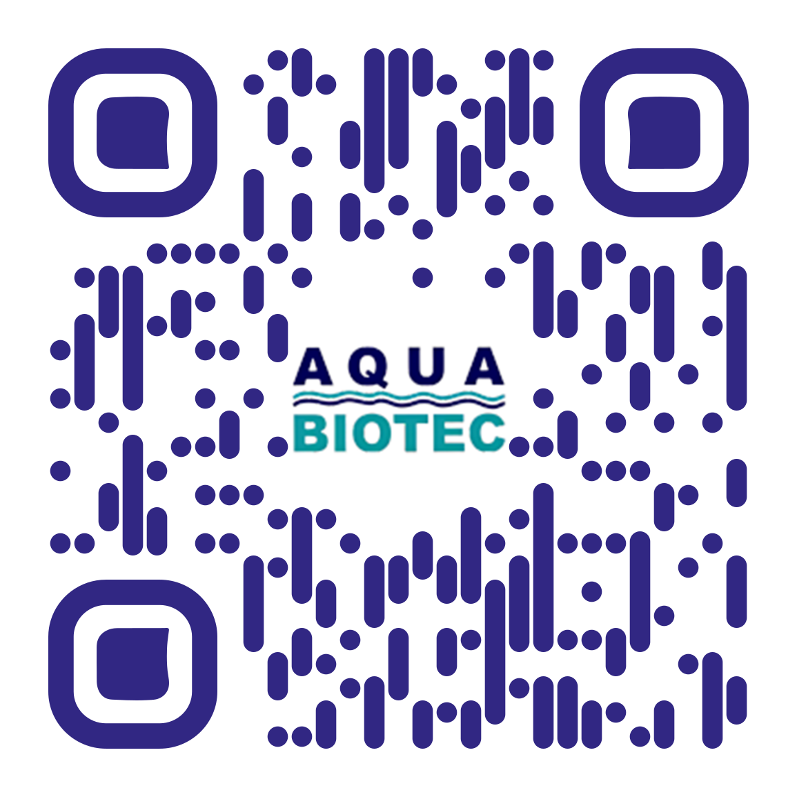 SEO-Agentur Lübeck Northbay Digital & Design qr-code-QR-Code